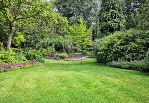 Optimiser l'expérience du jardin à Latour-de-Carol